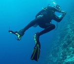 Nurkowanie na rafie koralowej