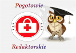 Pomoc w pisaniu prac - Pogotowie redaktorskie 