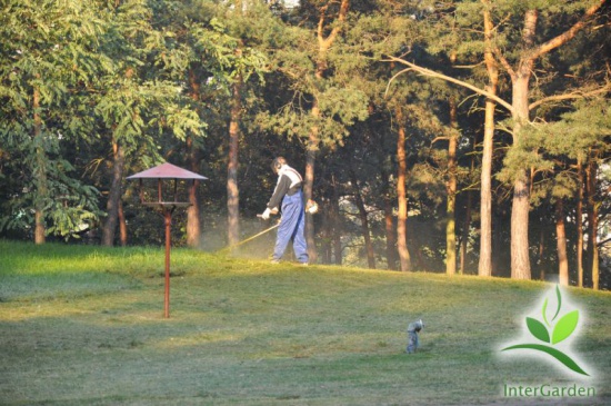 Usługi ogrodnicze, pielęgnacja trawników i ogrodów